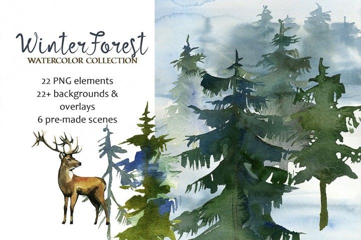 clipart forest watercolor