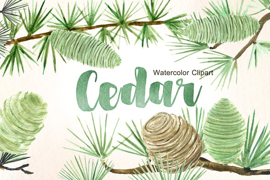 clipart forest watercolor