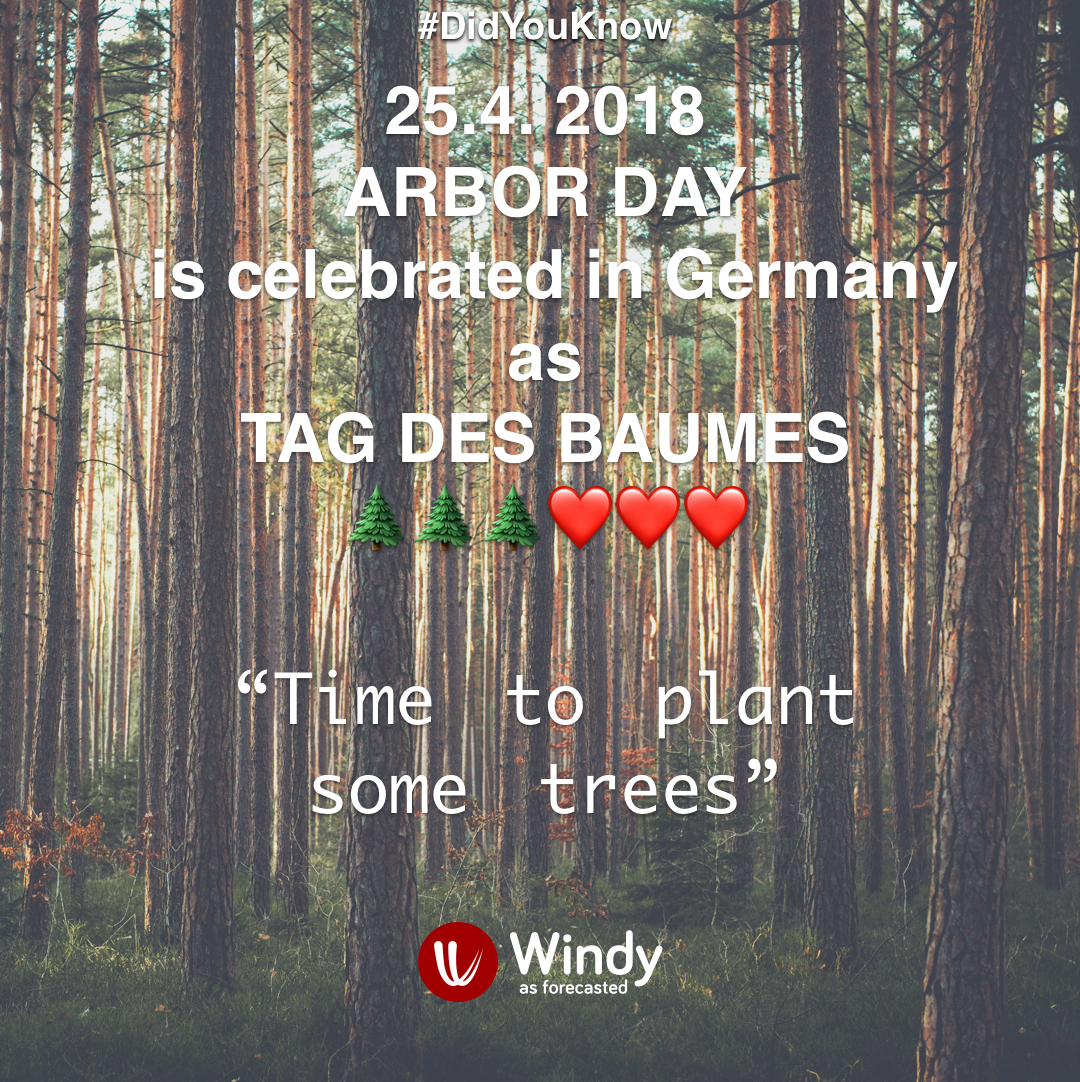 On twitter germans celebrate. Windy clipart forest