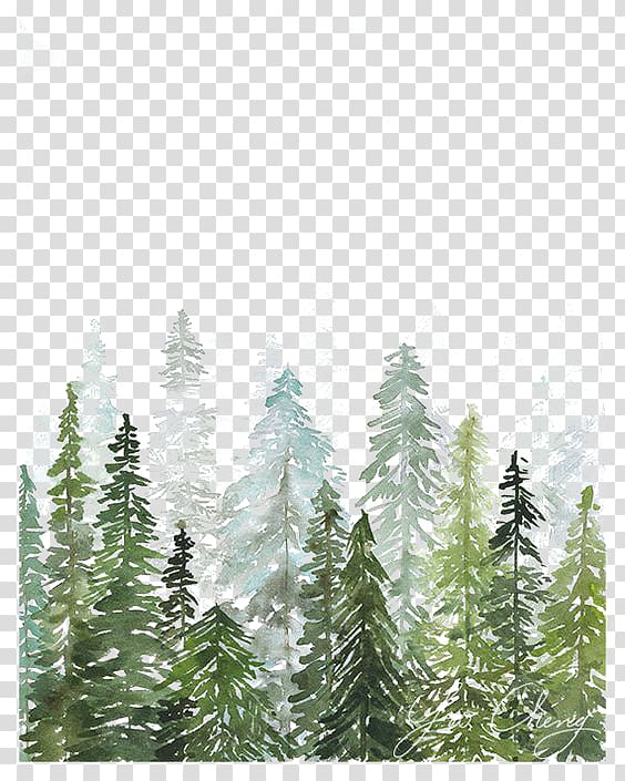 clipart forest woods