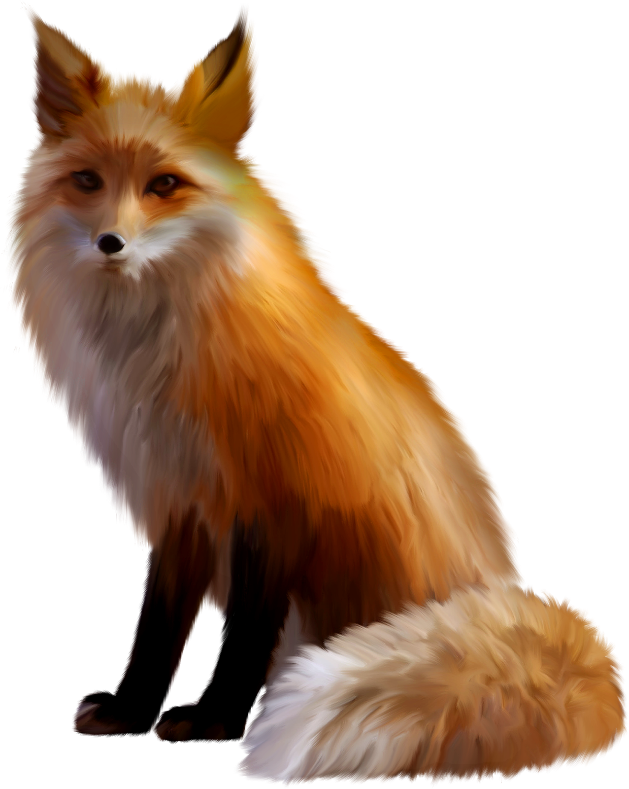 Clipart fox arctic fox, Clipart fox arctic fox Transparent FREE for