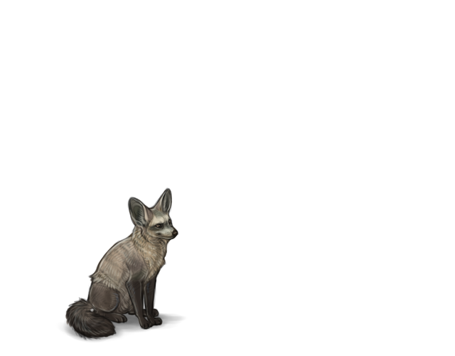 clipart fox bat eared fox