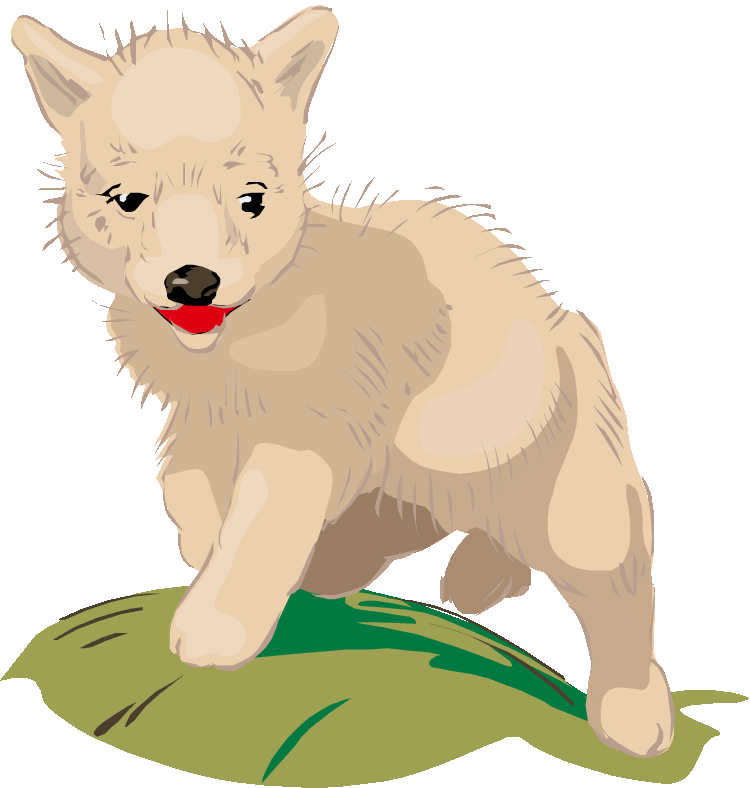 coyote clipart wildy