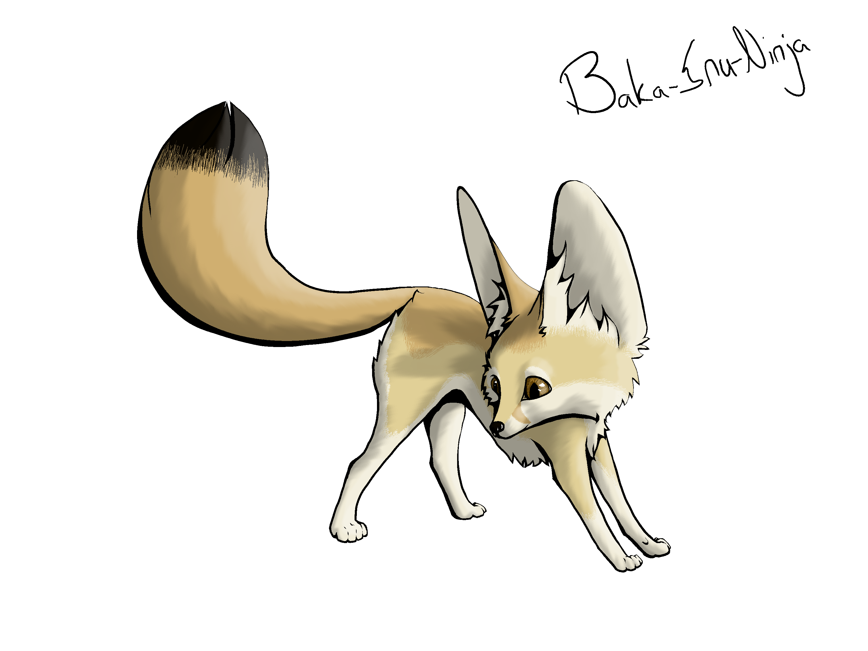fox clipart bat eared fox