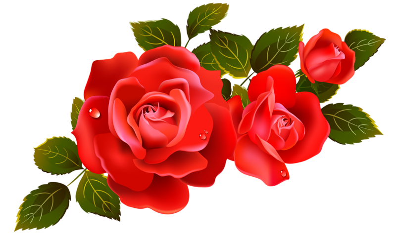 Clipart fox floral. Red flower nice view
