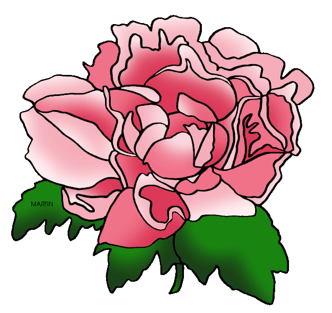 Peony clipart detailed. United states clip art