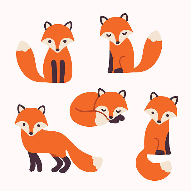 fox clipart color