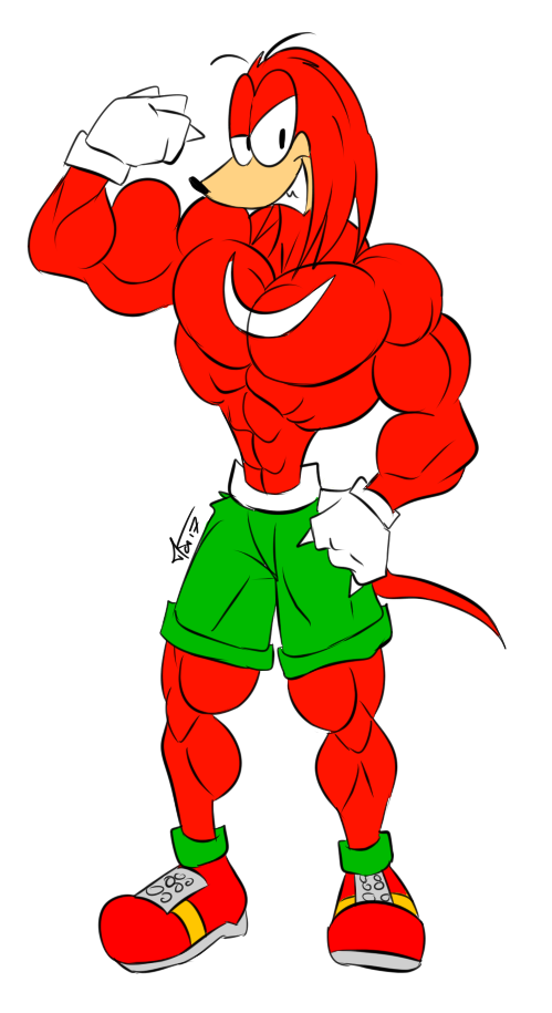 Muscles clipart flex muscle. Com buff knuckles by