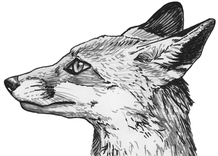 fox clipart profile