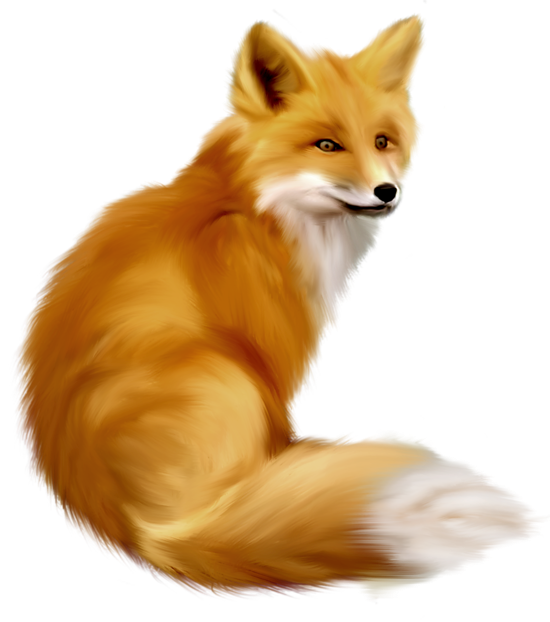 fox clipart forest