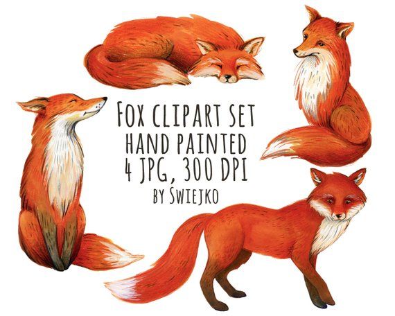 fox clipart whimsical