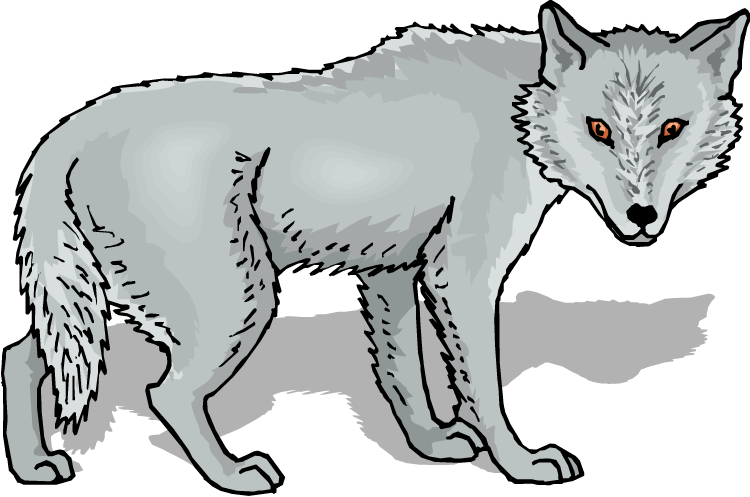  collection of images. Wolf clipart female wolf