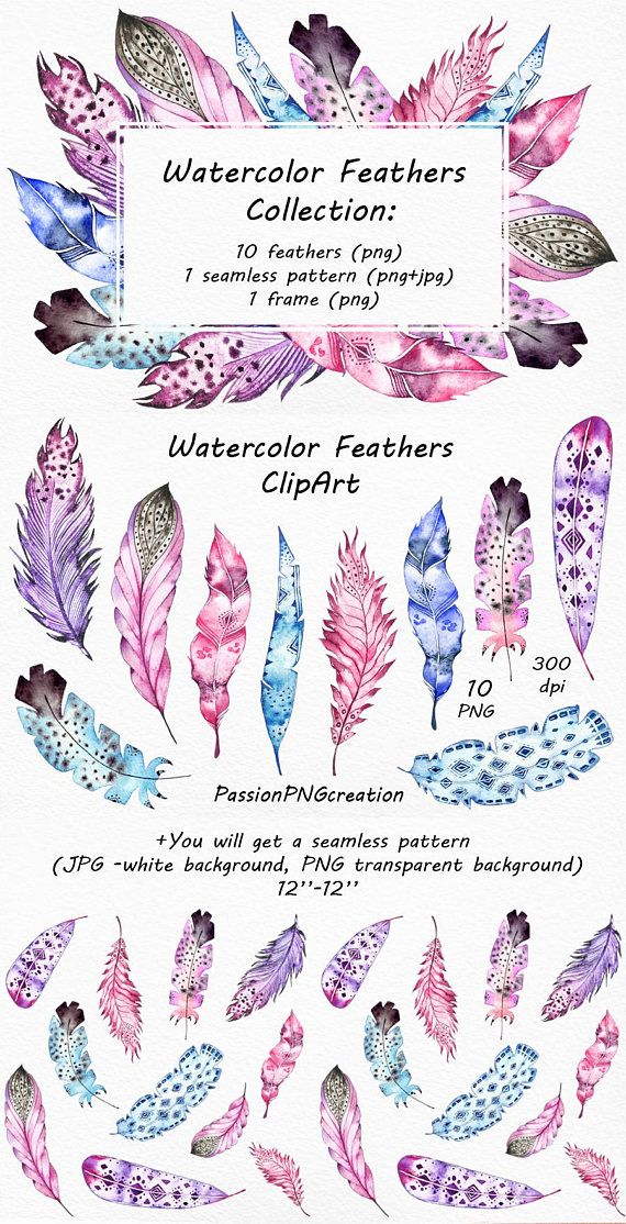Pin by far jung. Feather clipart frame