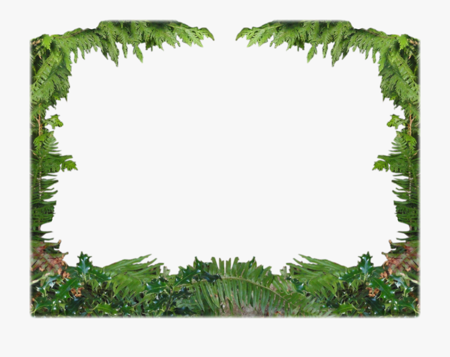 Island clipart forest island. Png free woods transparent