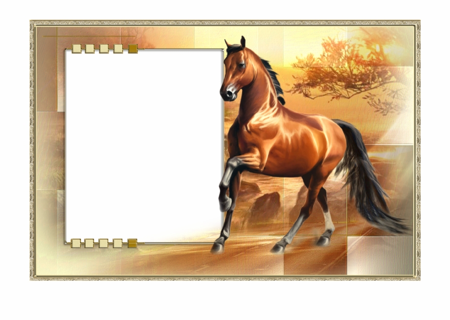 horse clipart frame