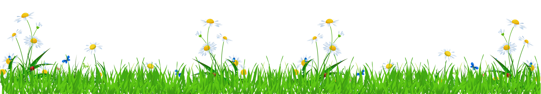 Daisy clipart grass. With daisies and ladybugs
