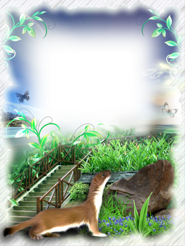 clipart frame nature
