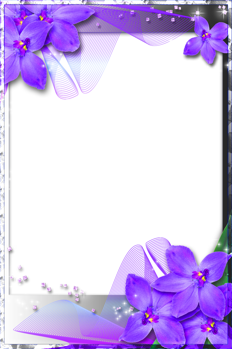 orchid clipart beautiful