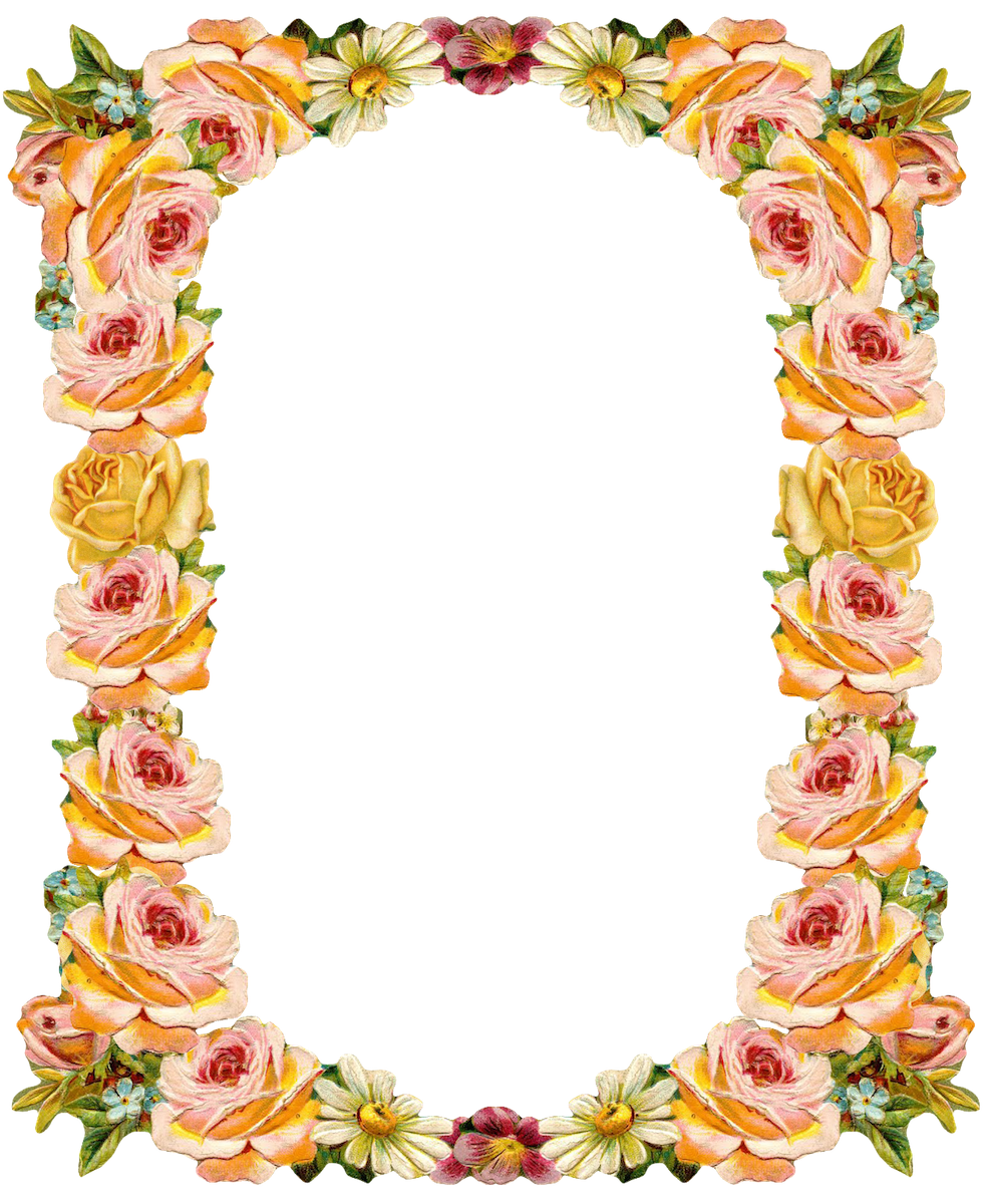 Free digital vintage flower. Clipart frame peach