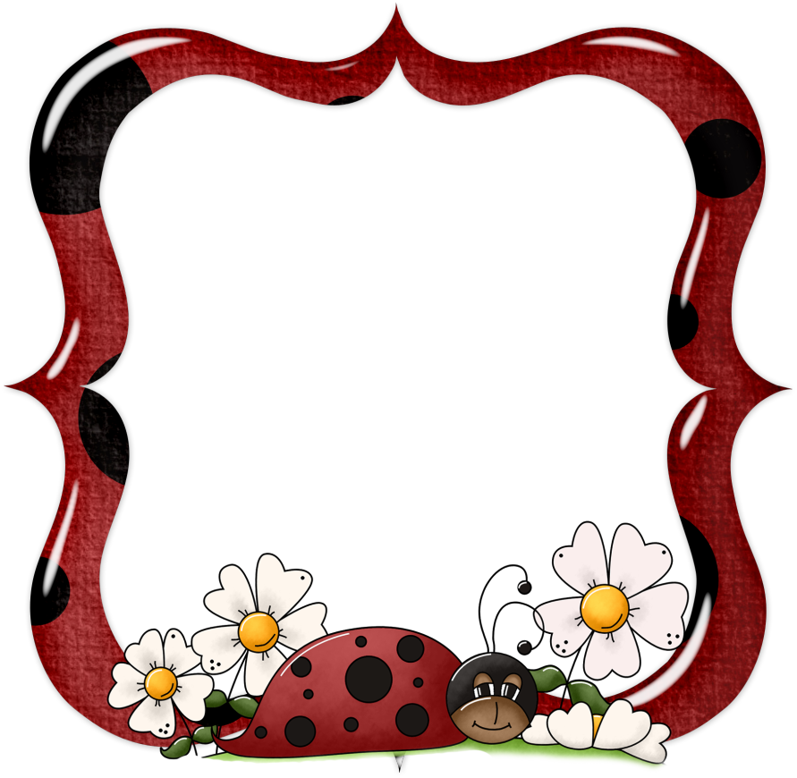 frame clipart ladybug