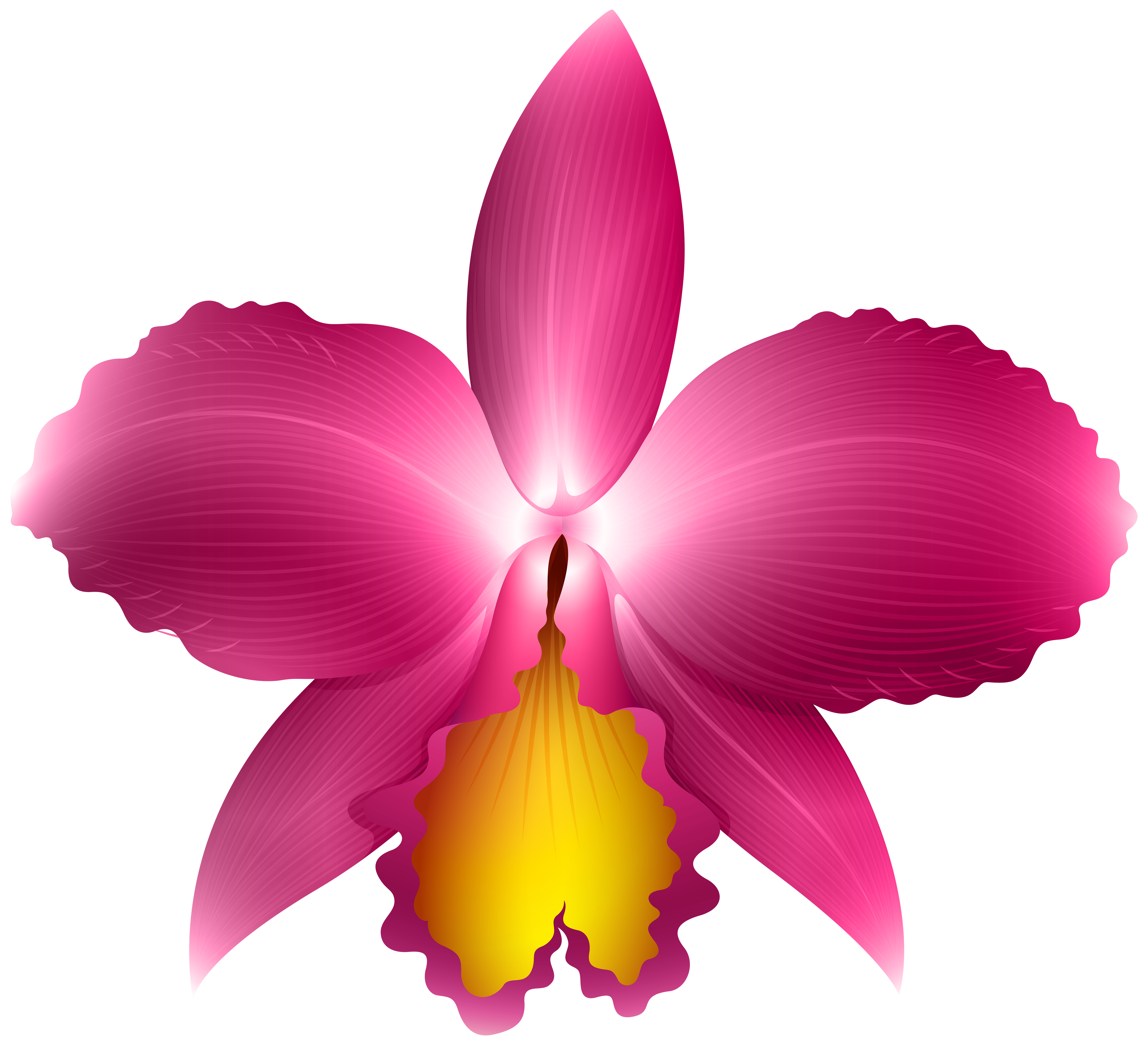 clipart frames orchid