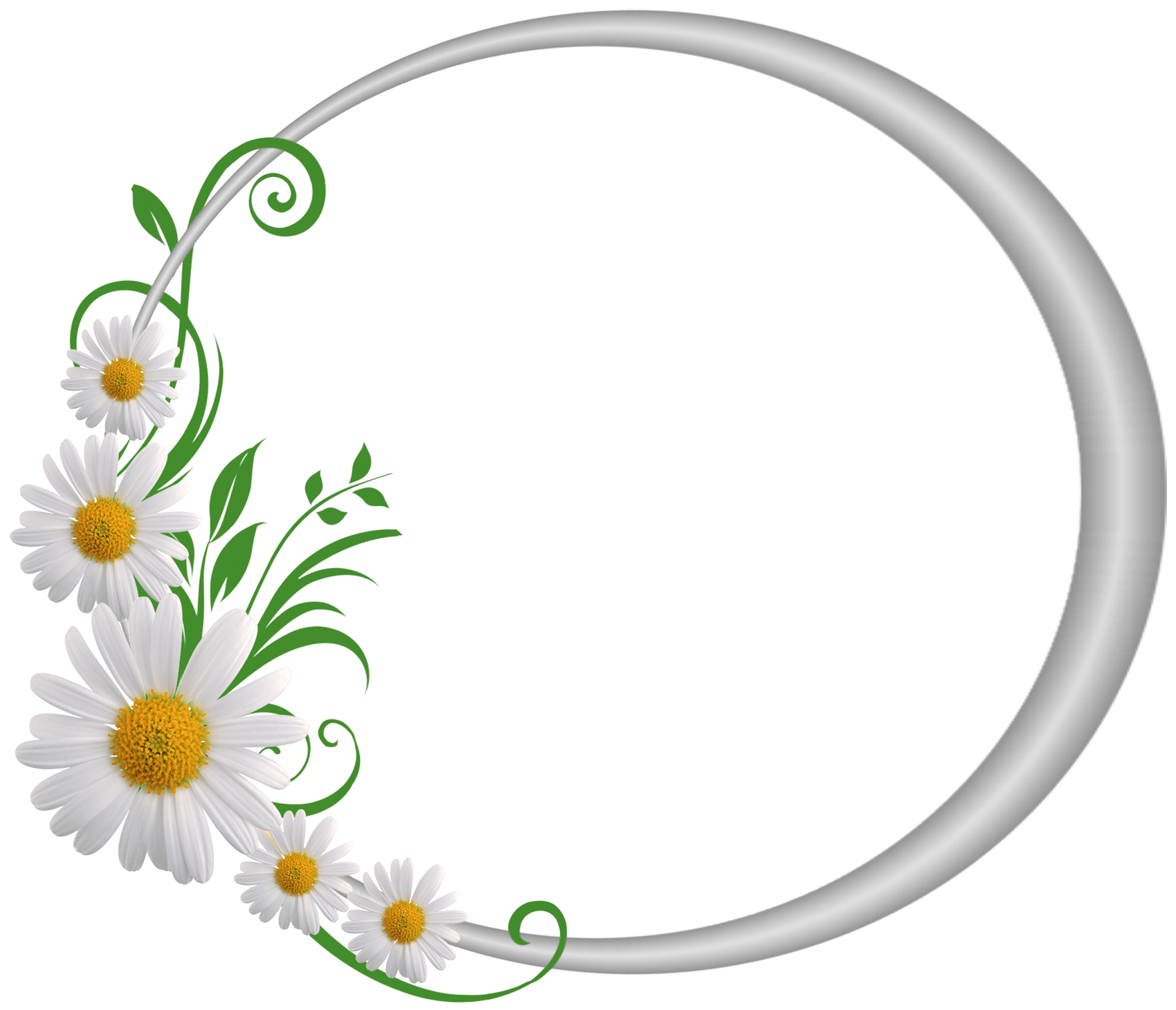 Clipart frames round. Silver frame with daisies