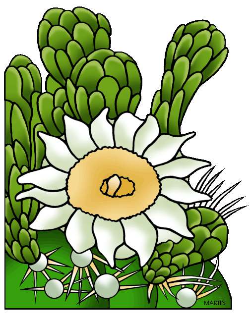 leaf clipart cactus