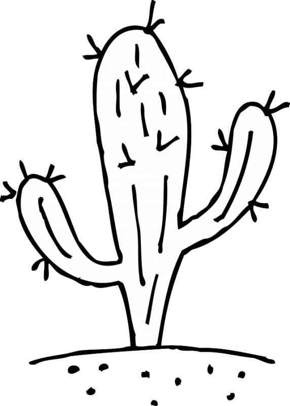 Clipart tree cactus. Plant drawing at getdrawings
