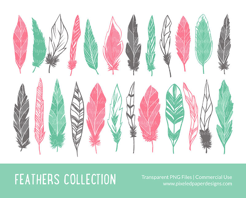 feathers clipart cute