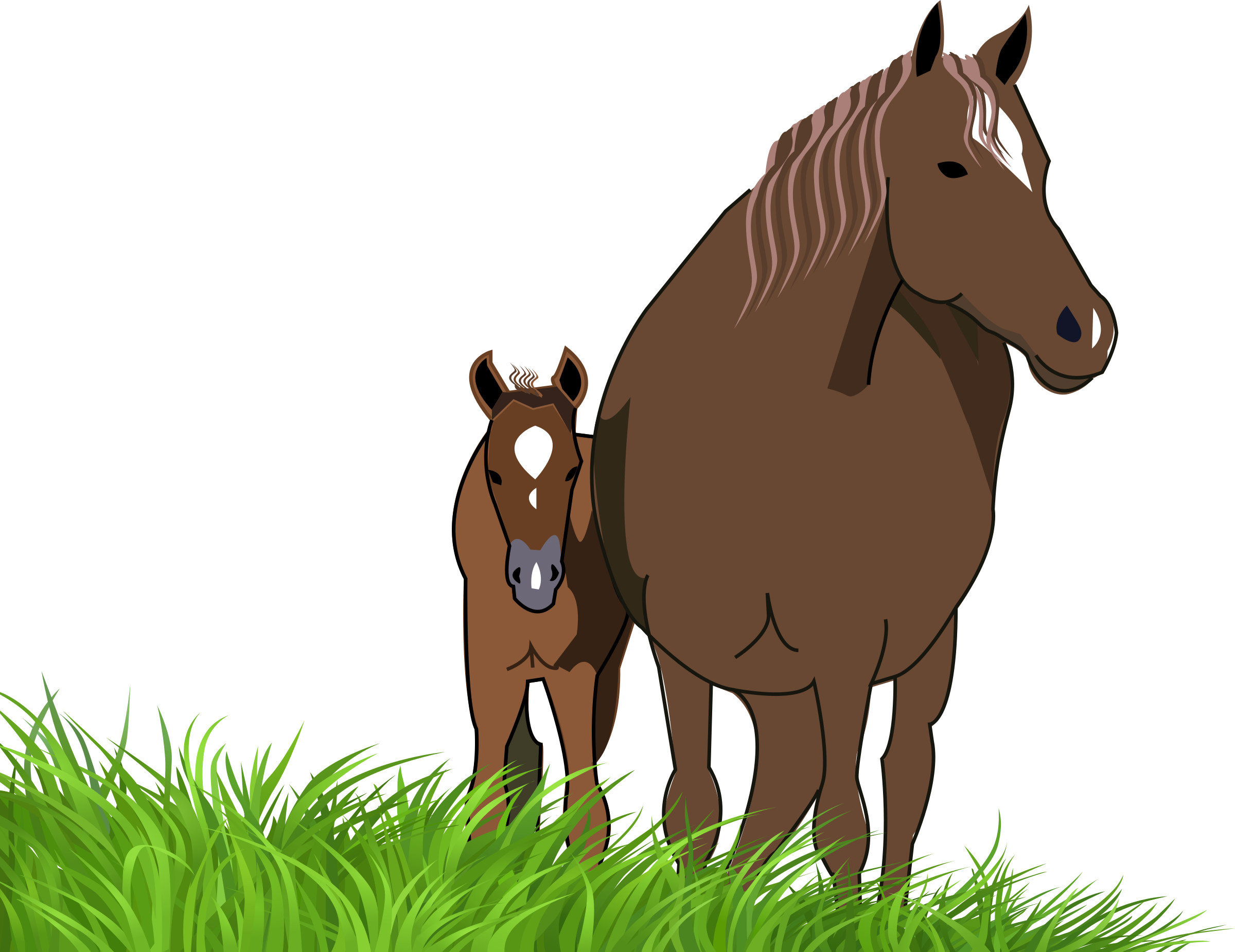 Horses clipart foal. Free mare and horse