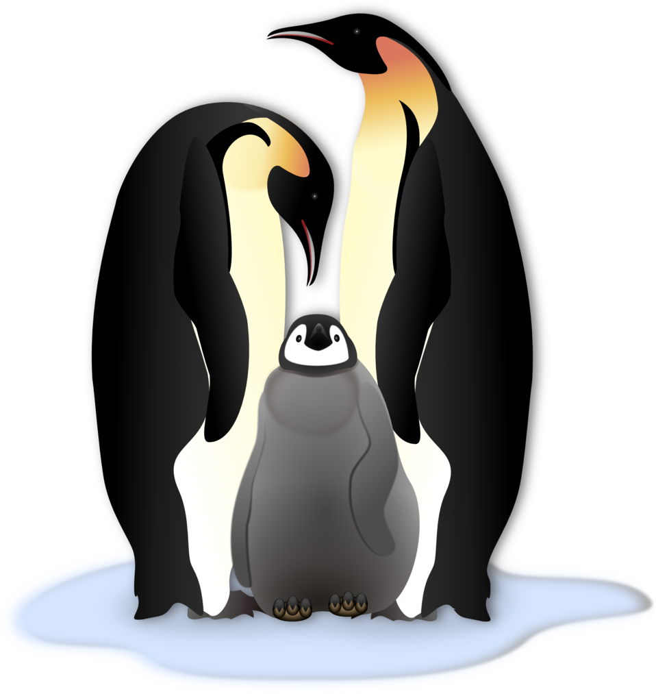 clipart free penguin
