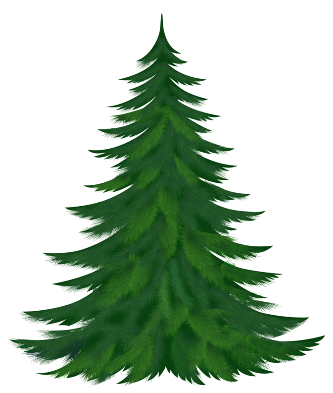 clipart free pine tree