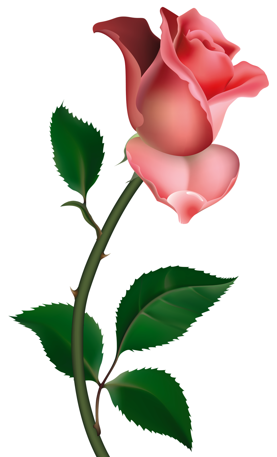 Clipart leaf rose. Roses free public domain