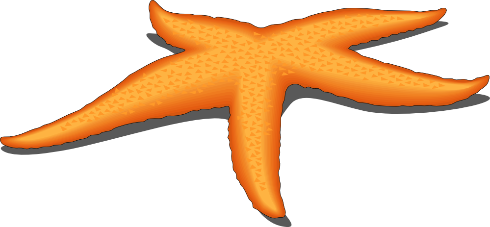 3 clipart starfish.  star images free