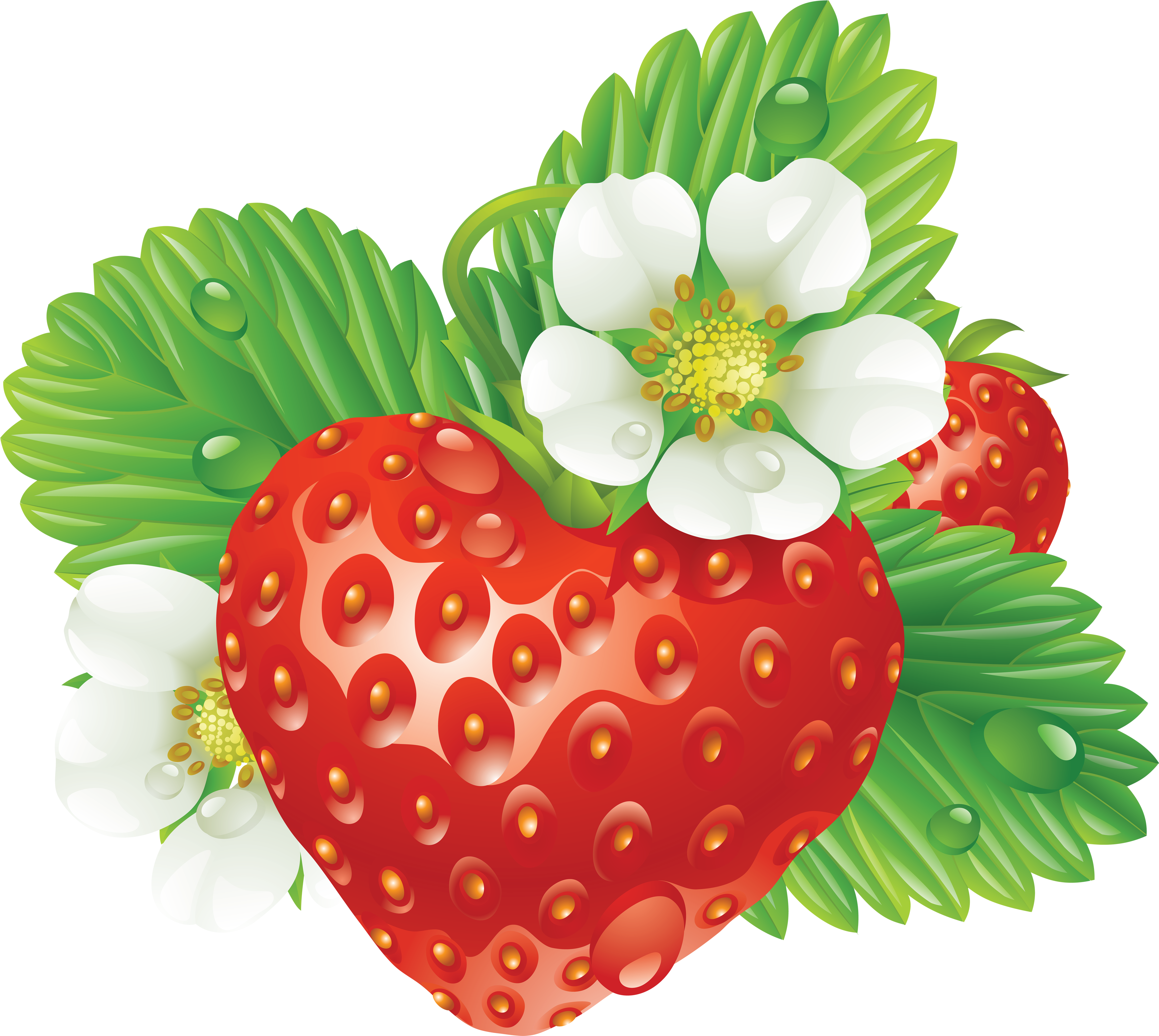 clipart free strawberry