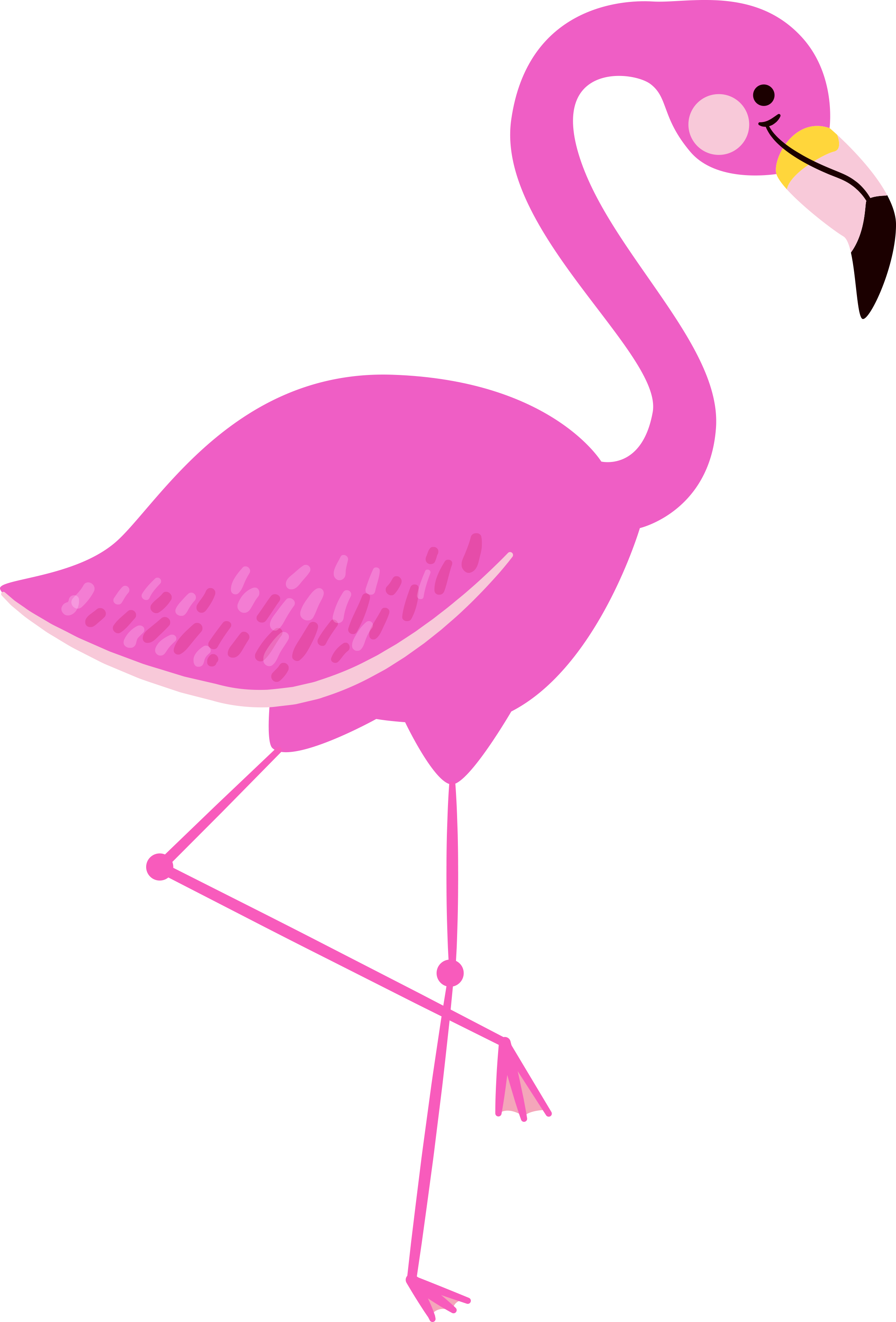 flamingo clipart