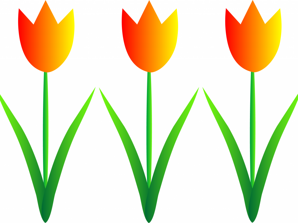 Jokingart com. Clipart free tulip