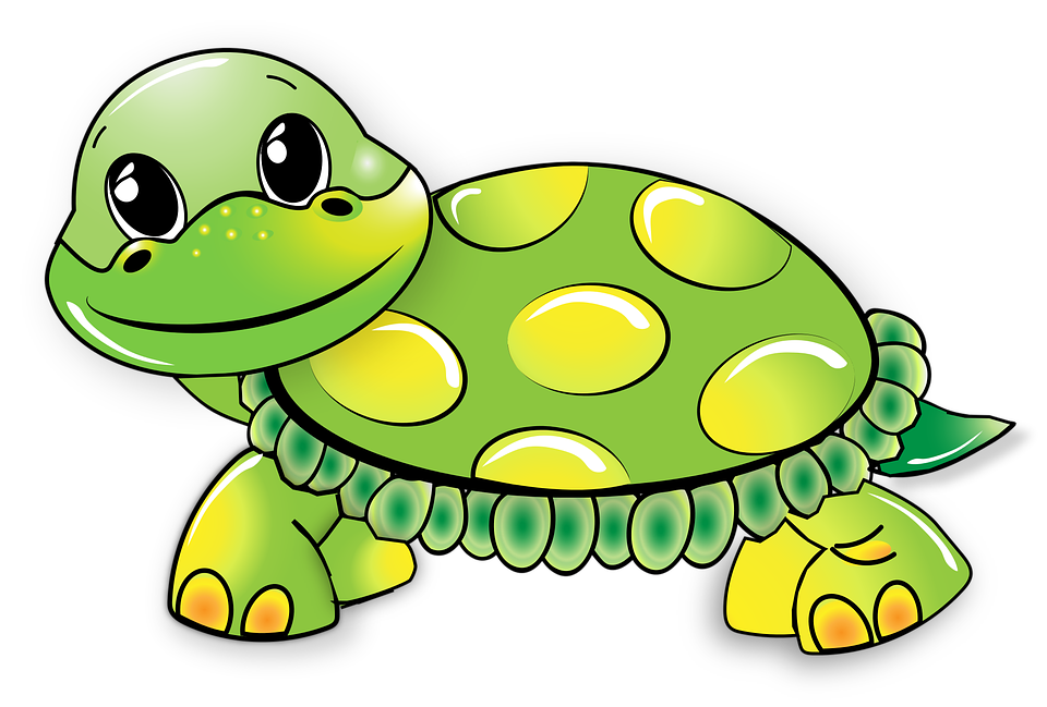 clipart spring turtle