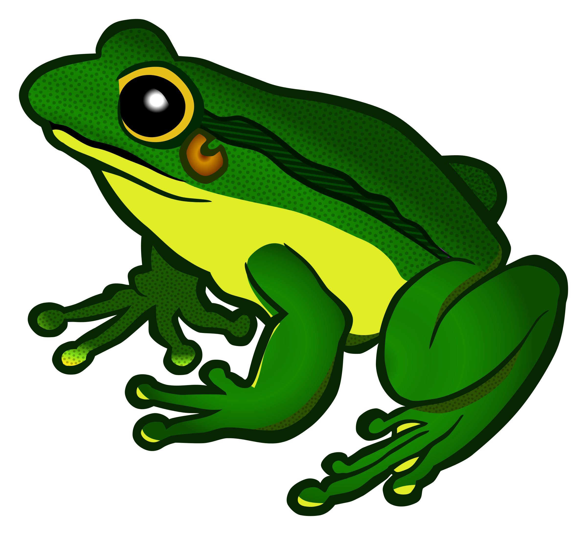 frog clipart clear background
