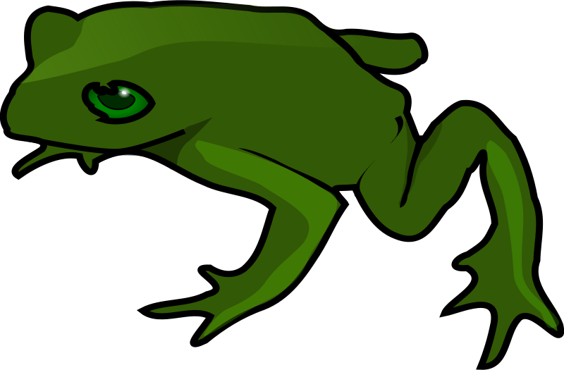 Medium image png . Clipart frog clear background