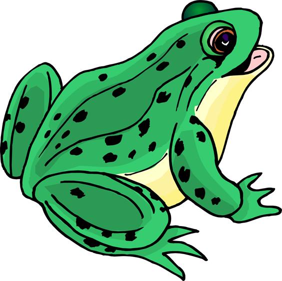 clipart teacher frog