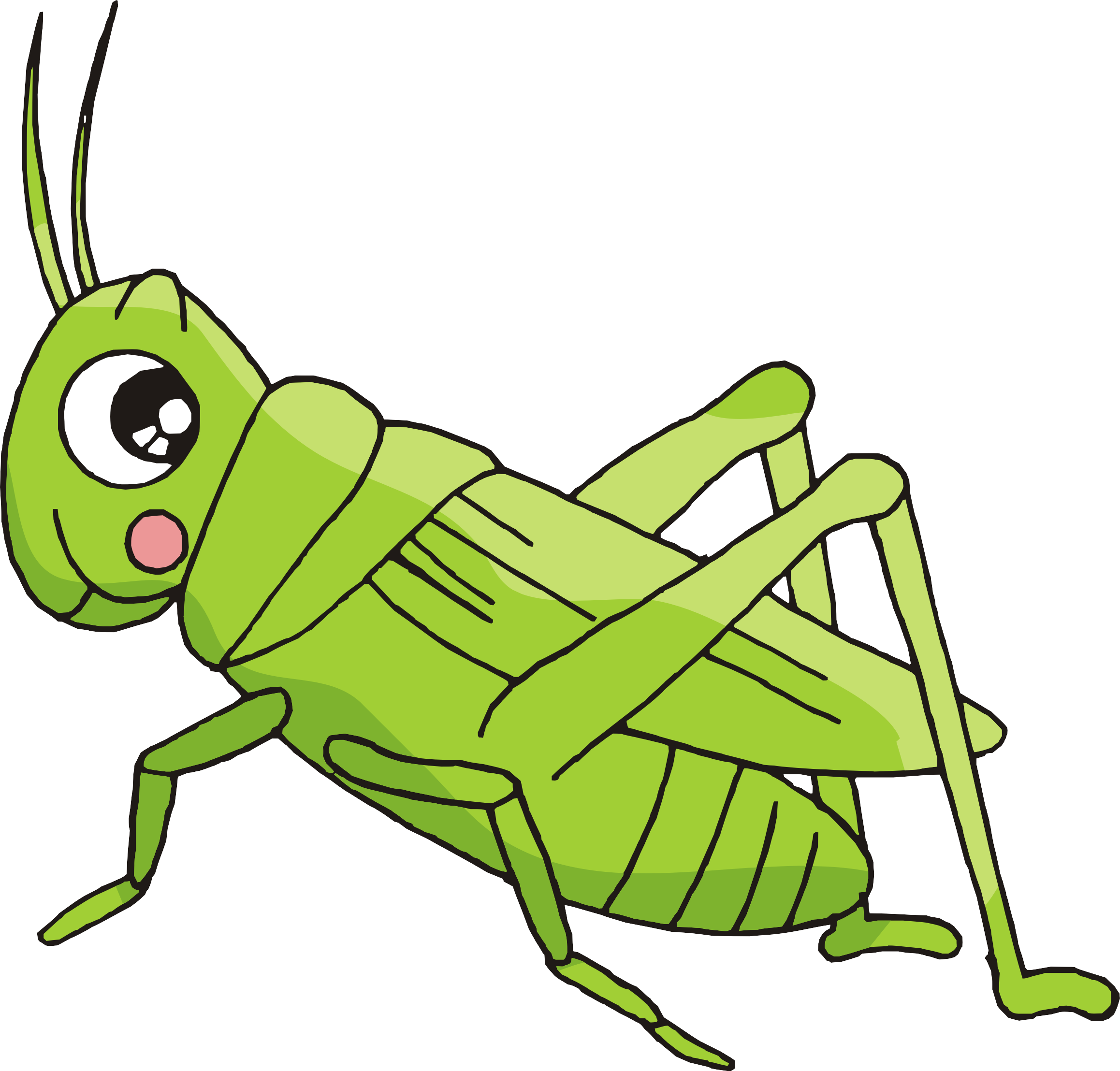 Cartoon bush crickets creative. Insect clipart insect grasshopper