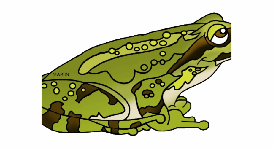 Clipart frog mother. Green clip art transparent