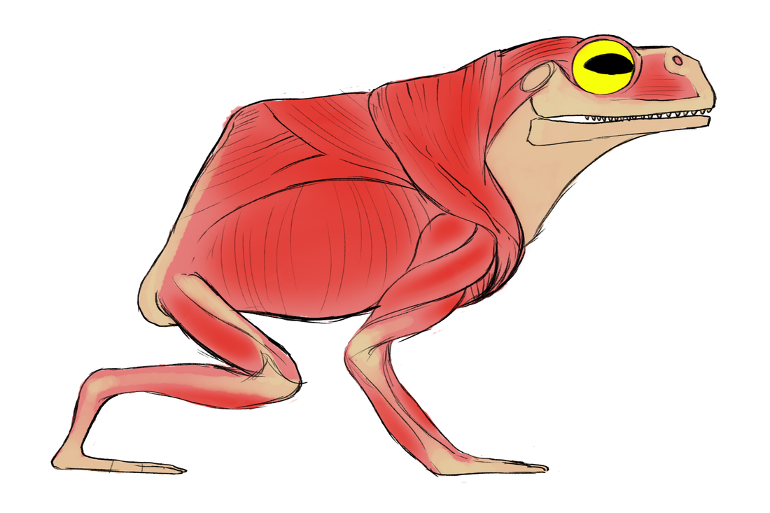 Lanky frogget the amphiterra. Clipart frog muscular