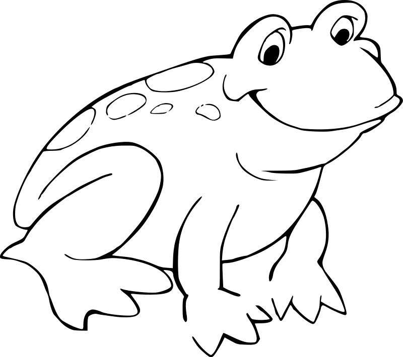 toad clipart colouring page