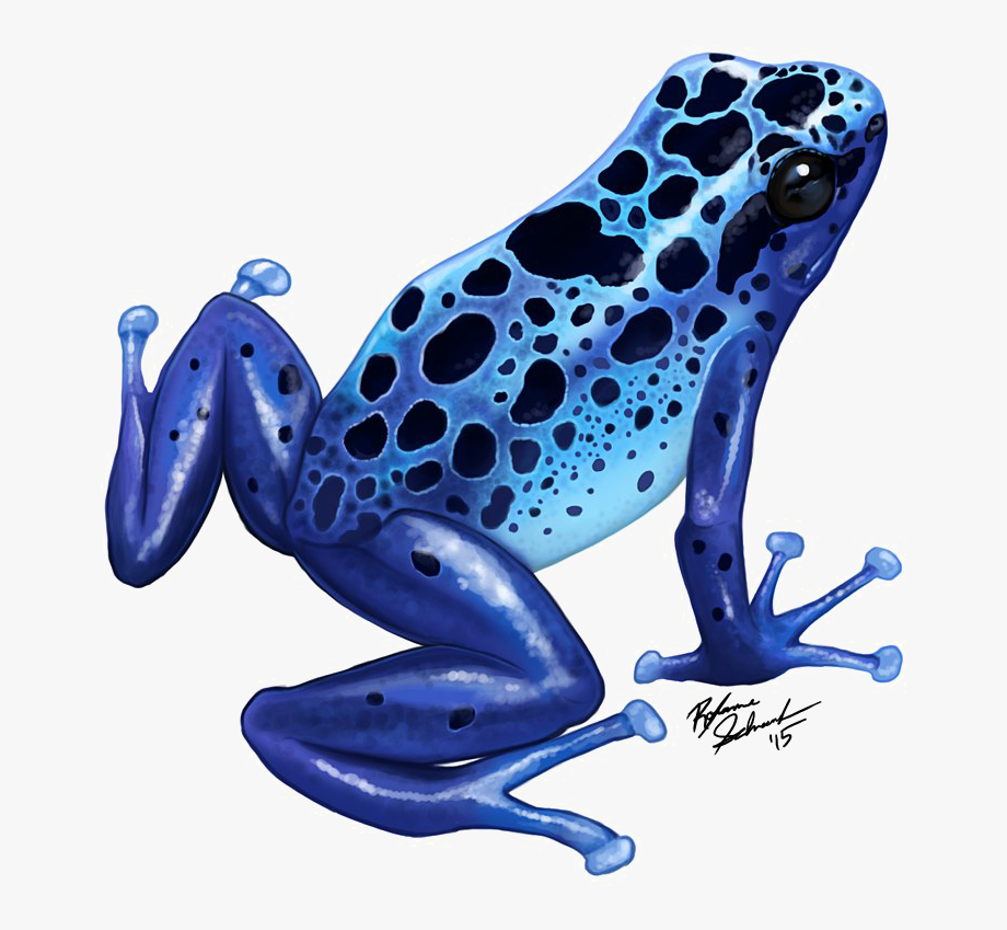 Transparent background blue . Clipart frog poison dart frog