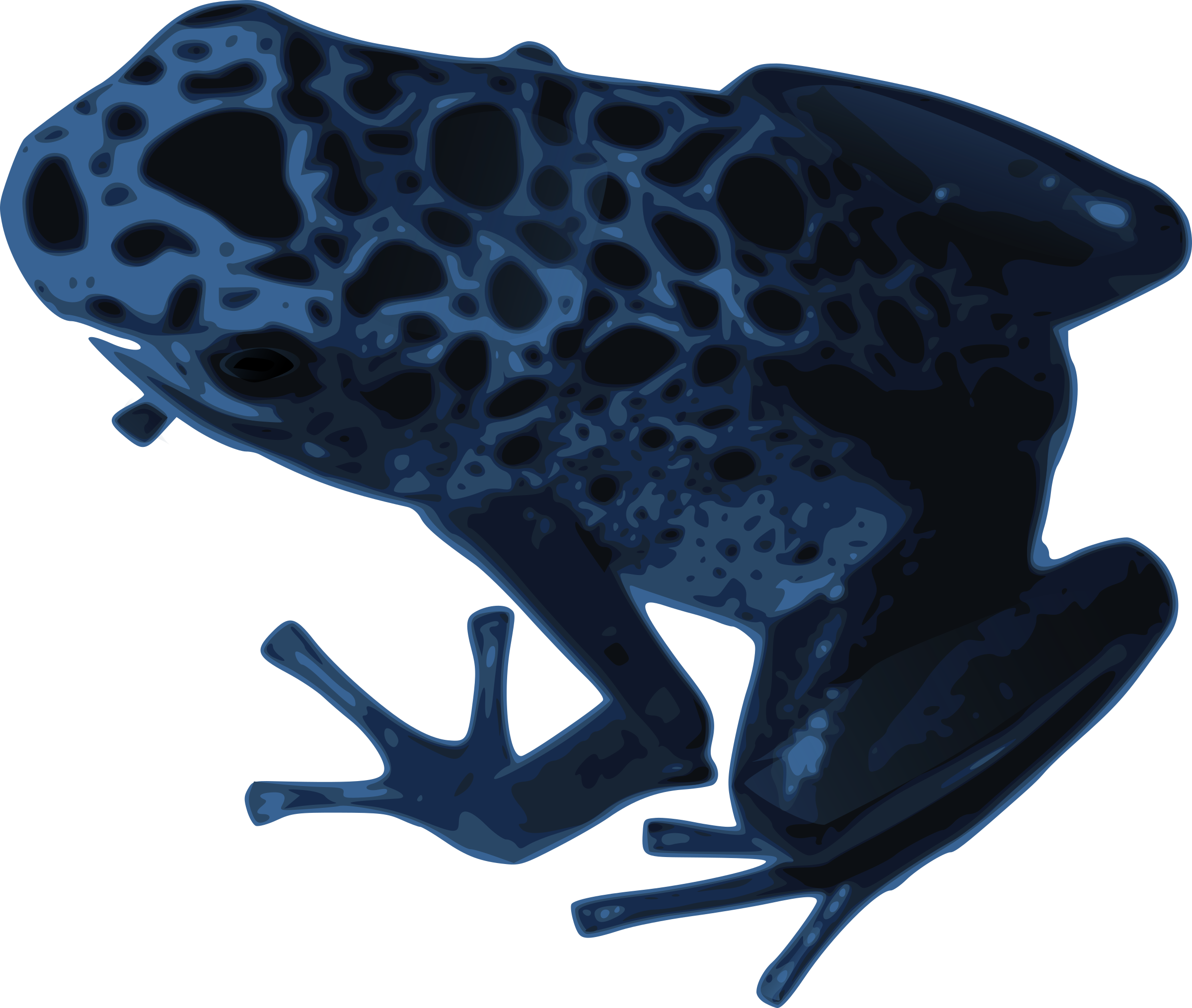 Clipart frog poison dart frog. Azureus big image png
