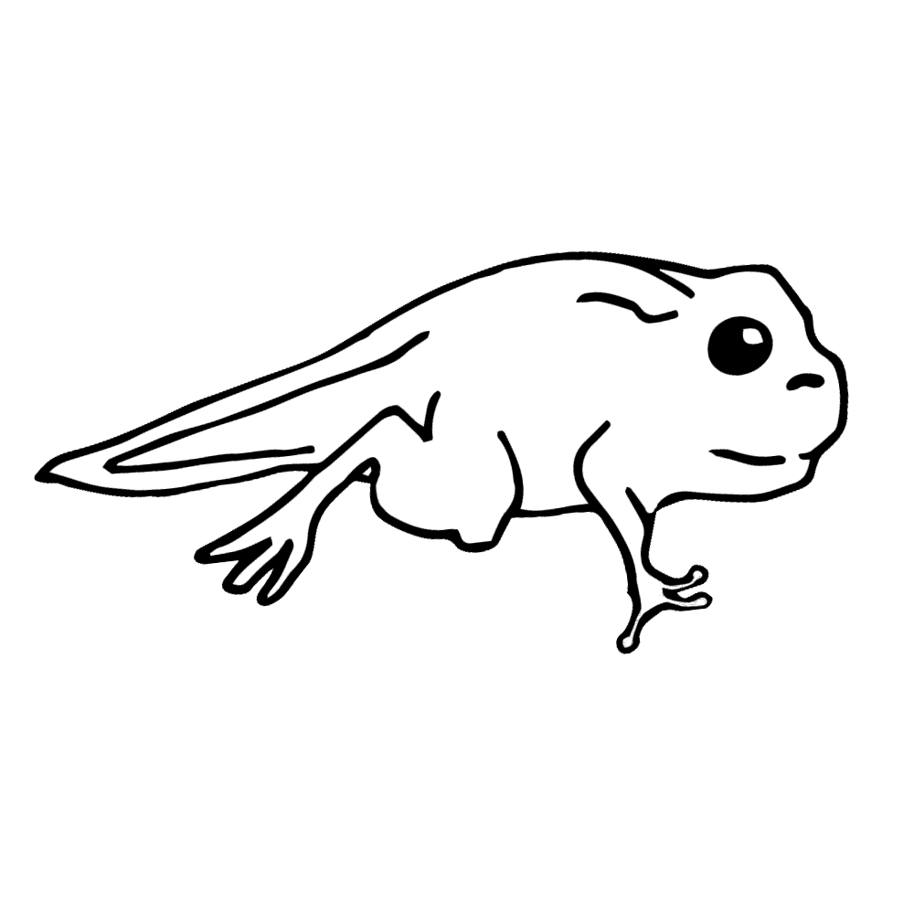 clipart hand frog