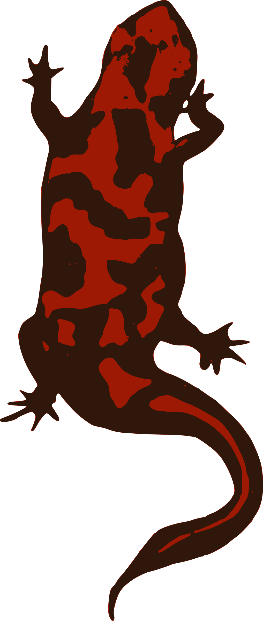 lizard clipart red lizard