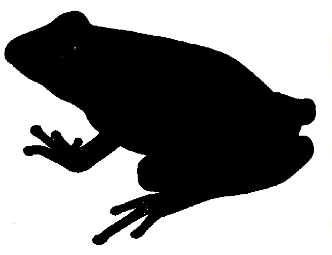 frog clipart shadow